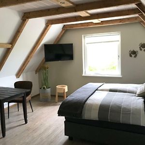 Standard Zimmer mit Kingsize-Bett